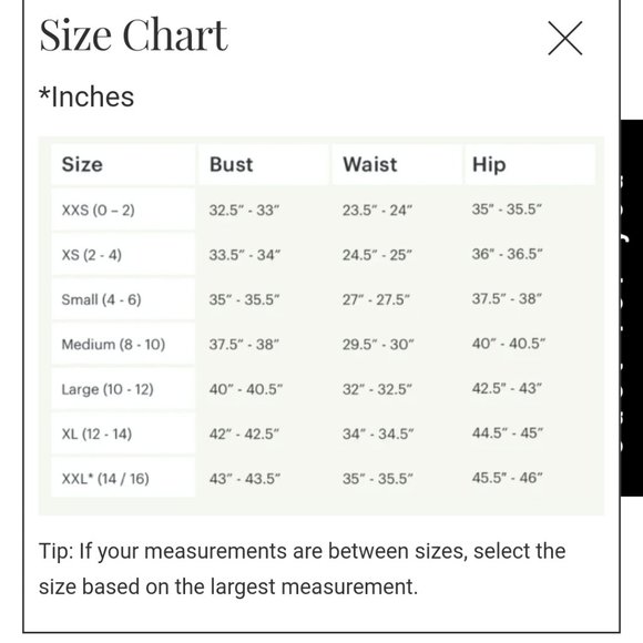 Sandra White Curved-Back Mermaid Gown - XL / OFF WHITE - Picture 6 of 6